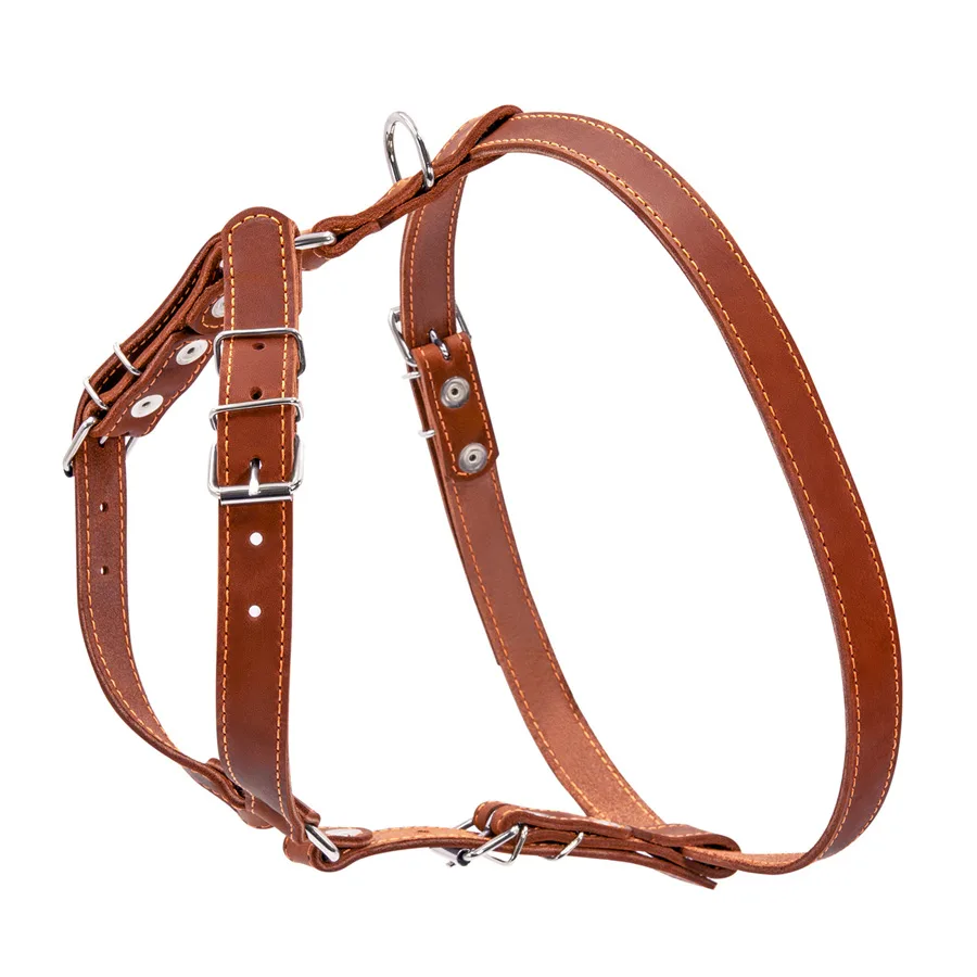 Шлея CoLLaR коричнева шкіряна 20мм 40-56см 57-65см для малих та середніх собак