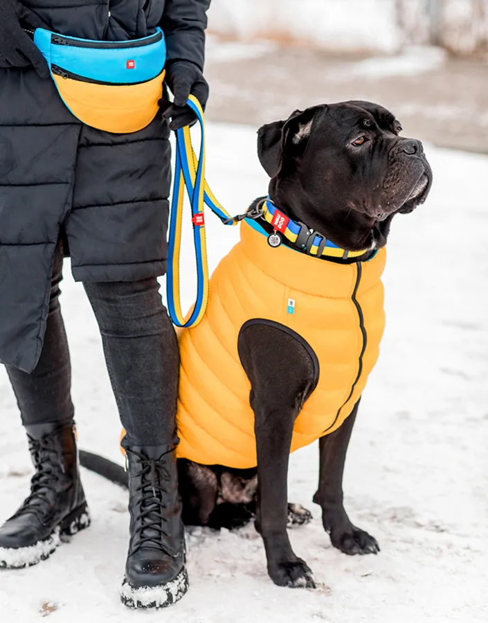 Повідець WAUDOG Nylon L-XXL 25 мм 122 см Нейлон Патриотичний Colors of Freedom