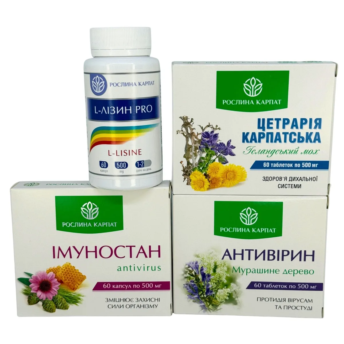 Комплексна програма при застуді, ГРЗ, ГРВІ - Антивірин, Імуностан, Цетрарія, Лізин Рослина Карпат