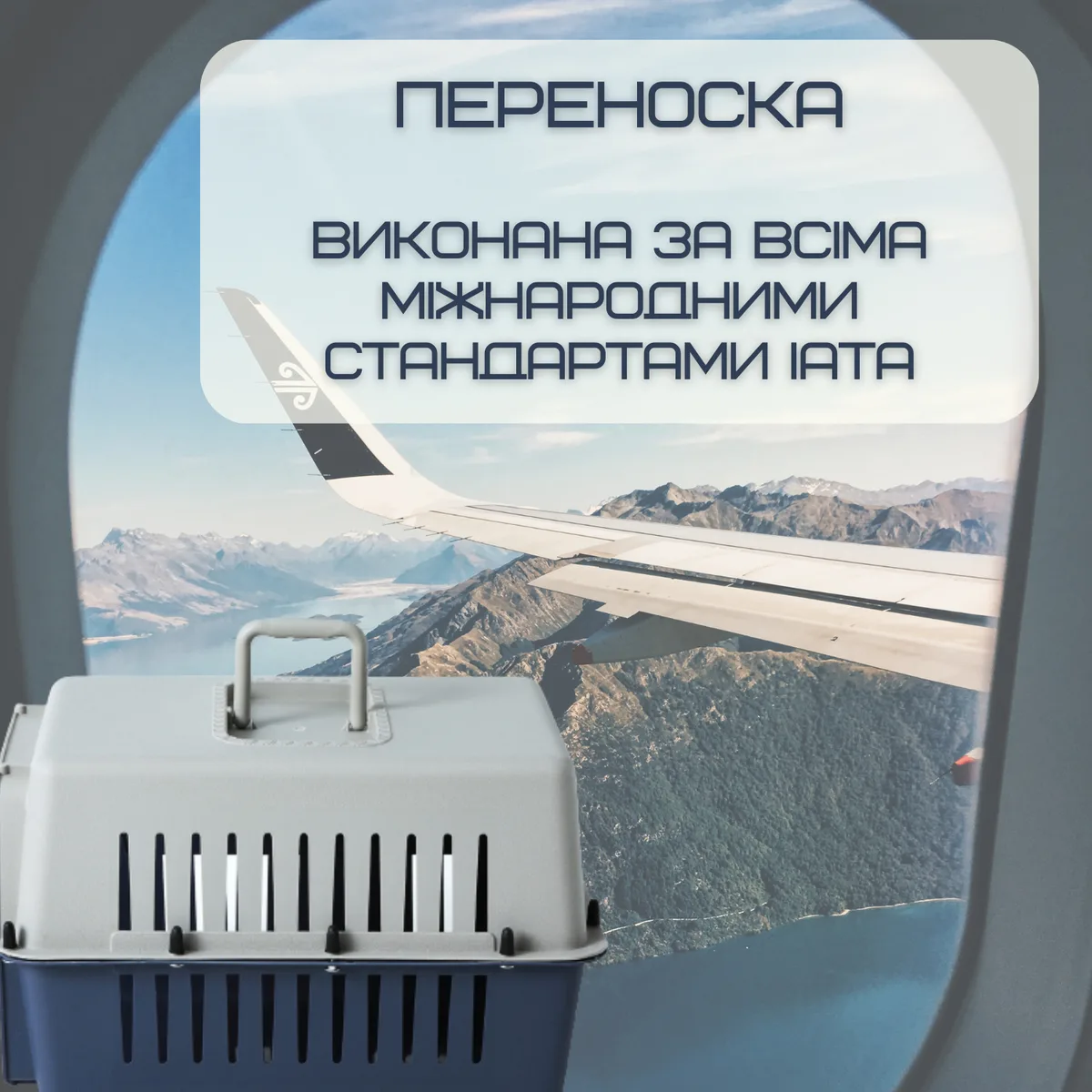 Контейнер для перевозки животных Treaxy TPK-002 до 9 кг IATA стандартов ударопрочный пластик 50x31x34 см