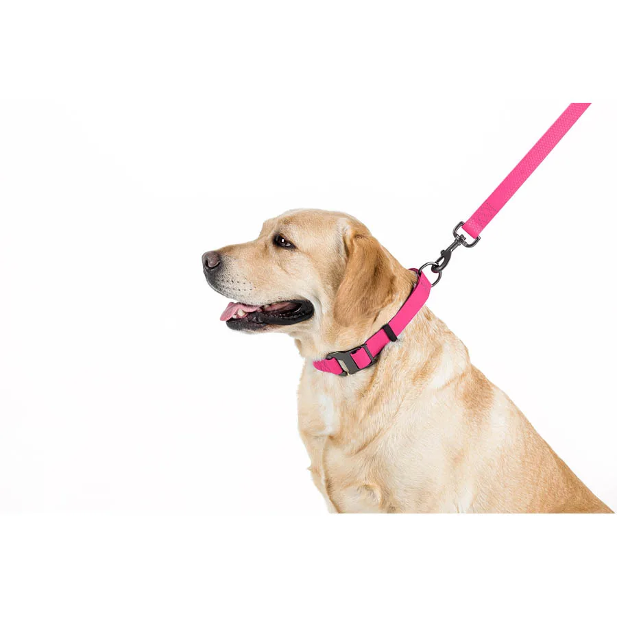 Повідець WAUDOG Waterproof 15х122 см Collartex рожевий S