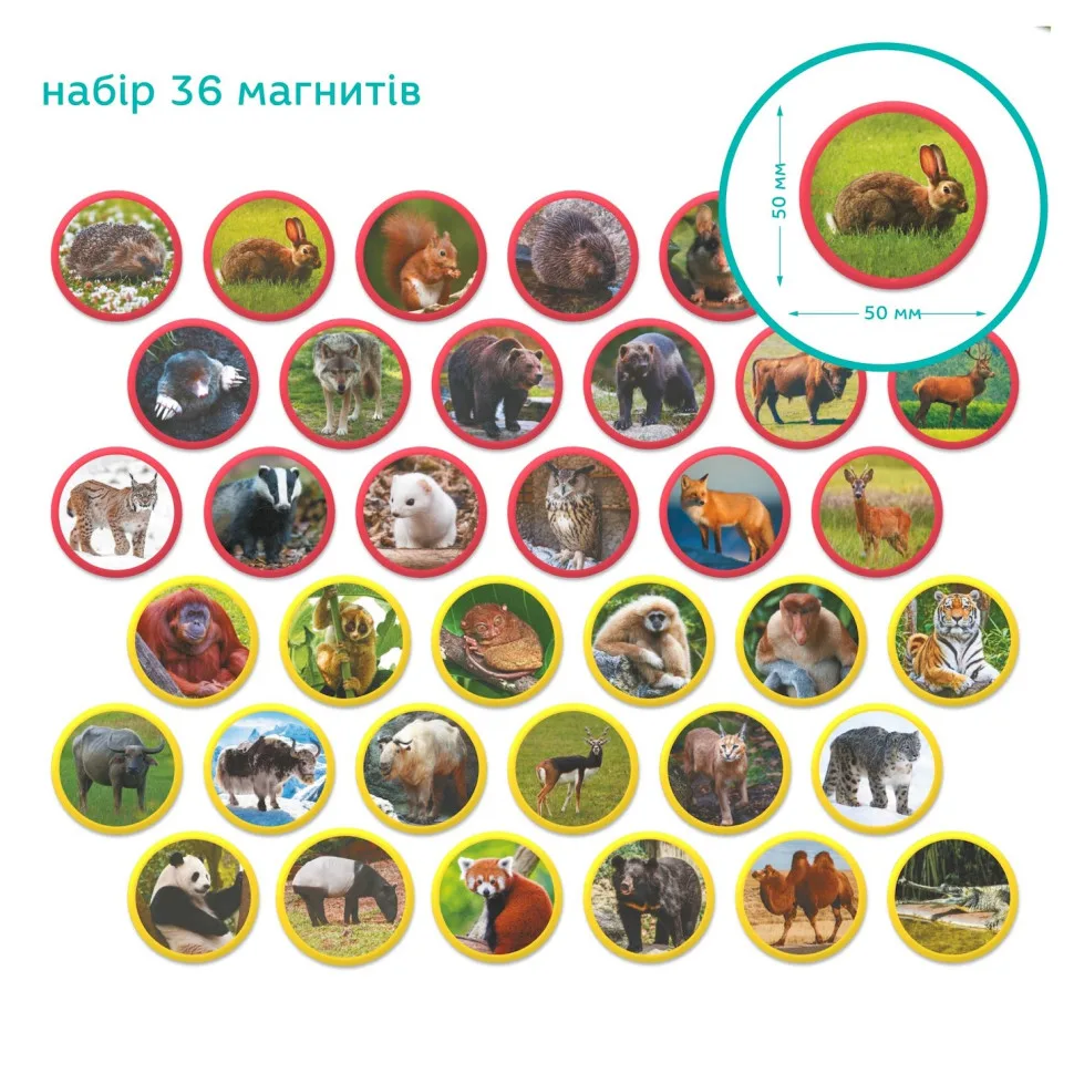 Дитячий магнітний набір DoDo Toys Монтессорі 36 елементів тварини Євразія
