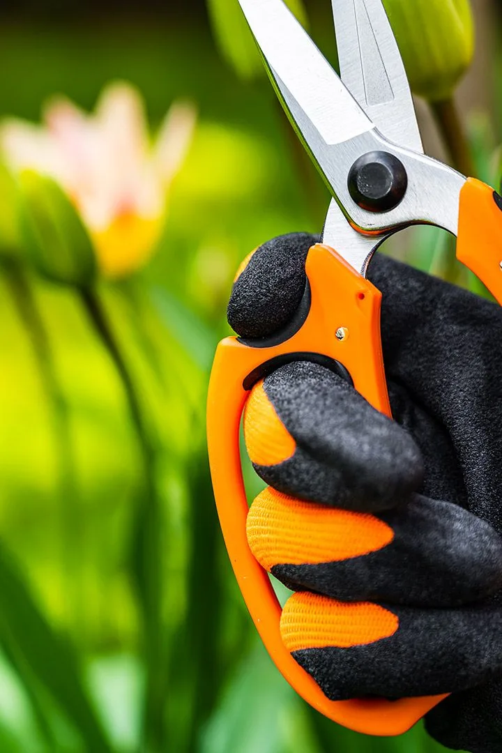 Садові ножиці Neo Tools, 18.5 см, 115 г