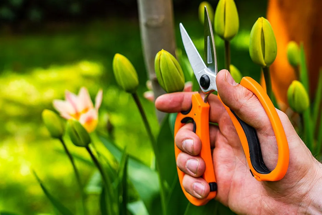Садові ножиці Neo Tools, 18.5 см, 115 г