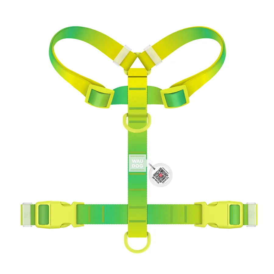 Шлея H-подібна WAUDOG Nylon Recycled 25 мм 60-100 см салатова