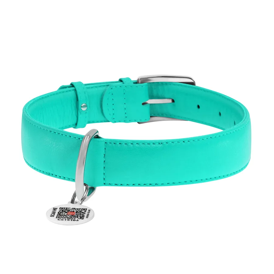 Нашийник WAUDOG Glamour XL 35 мм шкіряний ментоловий 46-60 см з QR паспортом