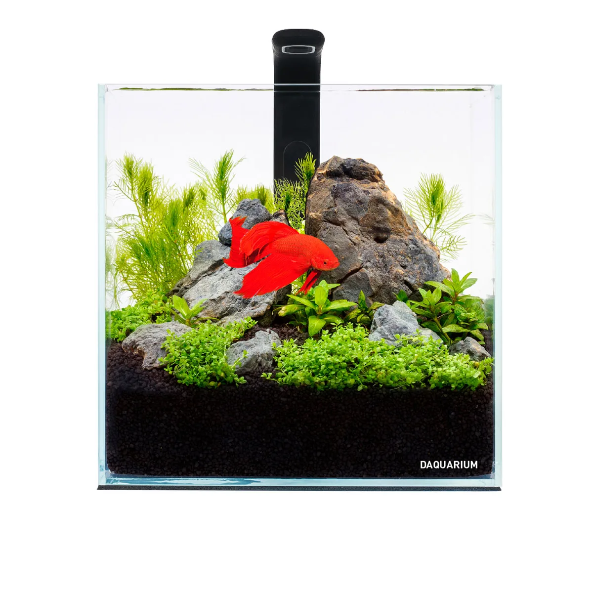 Акваріумний набір 5 л AquaLighter Pico скло 17х17 см для риб і креветок