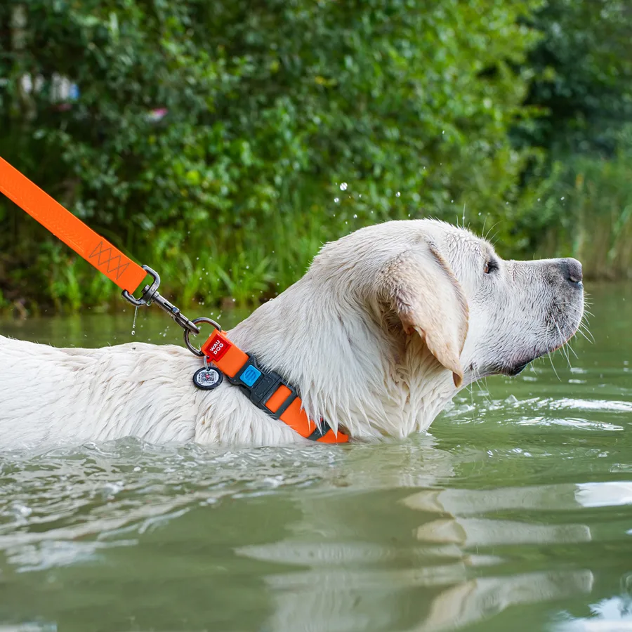 Нашийник WAUDOG Waterproof 25 мм x 38-58 см Collartex помаранчевий