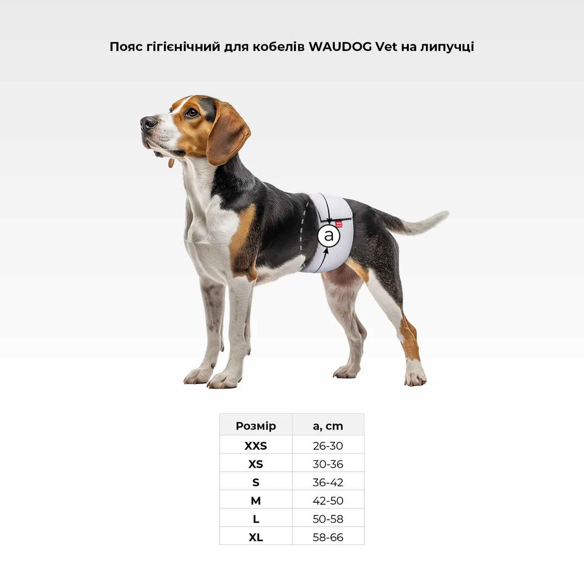 Гигиенический пояс WAUDOG Vet S 36-42 см хлопок серый