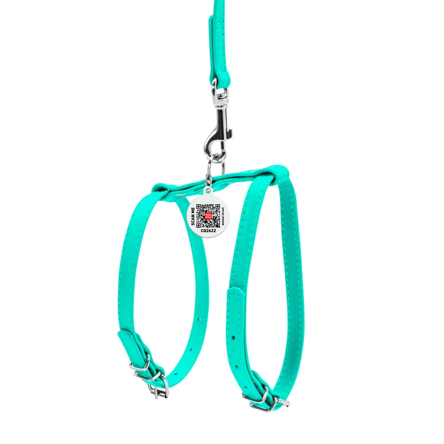 Шлея з повідцем WAUDOG Glamour 12 мм шкіряна XS 25-33 см ментоловий