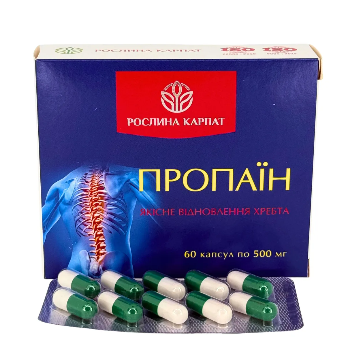 Пропаїн  – зміцнення суглобів і хребта, природне відновлення рухливості Рослина Карпат