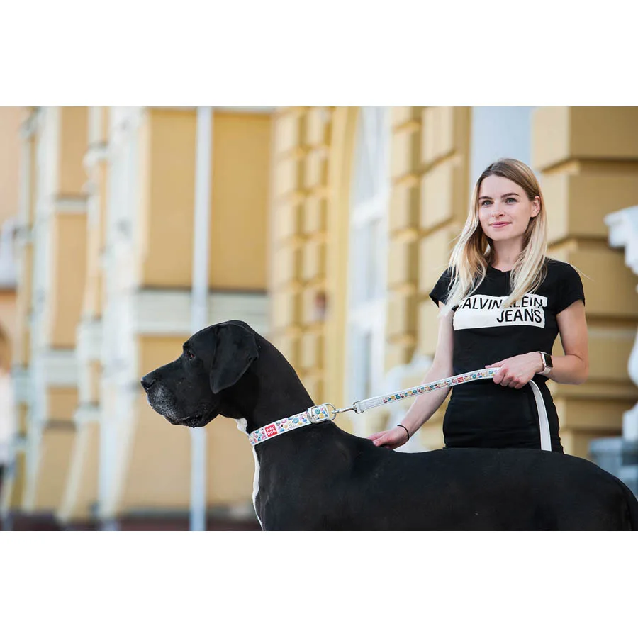 Повідець WAUDOG "Пончики" 25 мм x 122 см шкіра білий для собак L-XL
