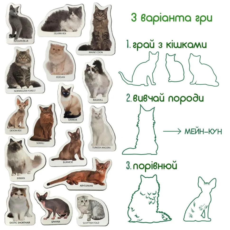 Набор магнитов Magdum ламинированные 22 фигурки 12х17х3,7 см Породы кошек