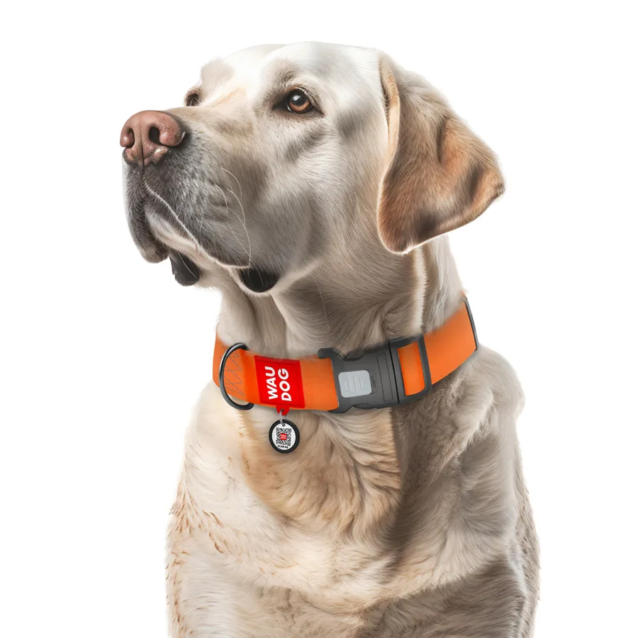 Нашийник WAUDOG Waterproof XXL 40 мм 46-70 см Collartex помаранчевий