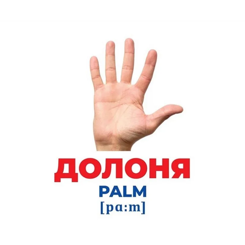 Набір розвиваючих карток Ranok Creative картон 17 шт Будова тіла