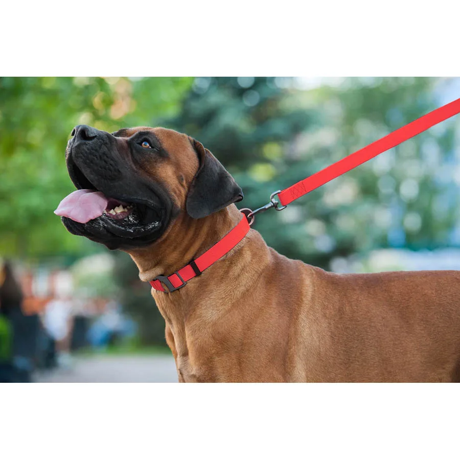 Повідець WAUDOG Waterproof S 15x183 см Collartex червоний