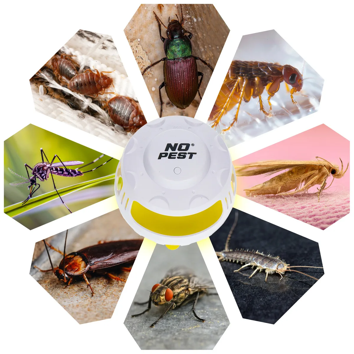 Ловушка для комах No Pest ABS пластик 5В 15 LED 365 нм фіолетова