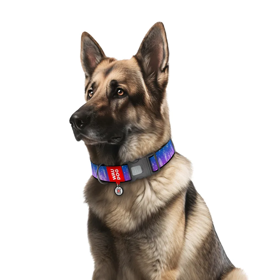 Нашийник WAUDOG Nylon XXL 46-70 см нейлоновий "Ловець снів" 35 мм