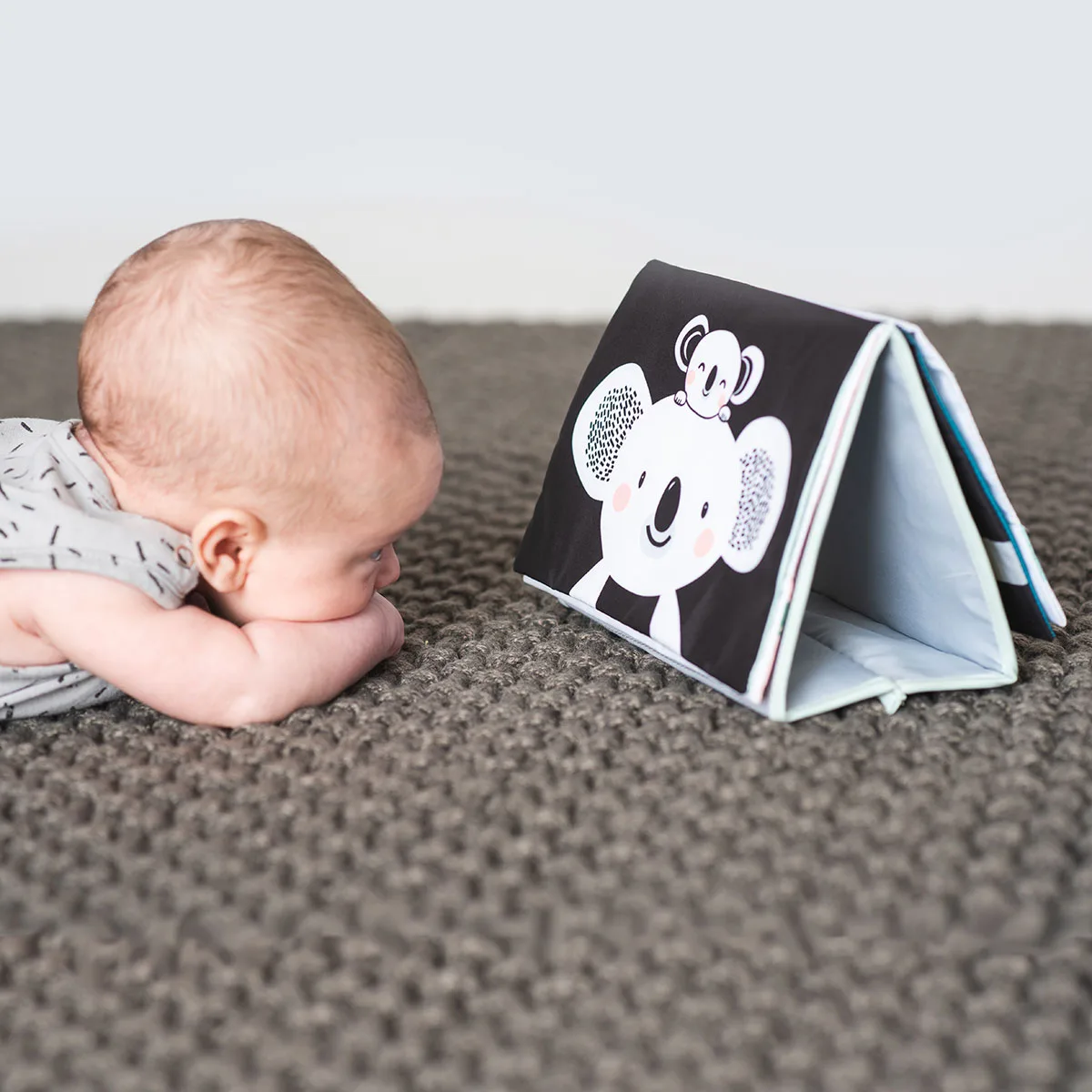 Развивающая книжка Taf Toys комбинированные материалы 25х27 см Мечтательные Коалы