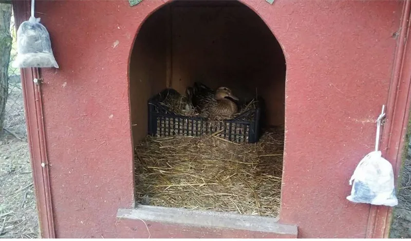 Відлякувач куниць Hunter натуральний матеріал 15х10 см колір білий