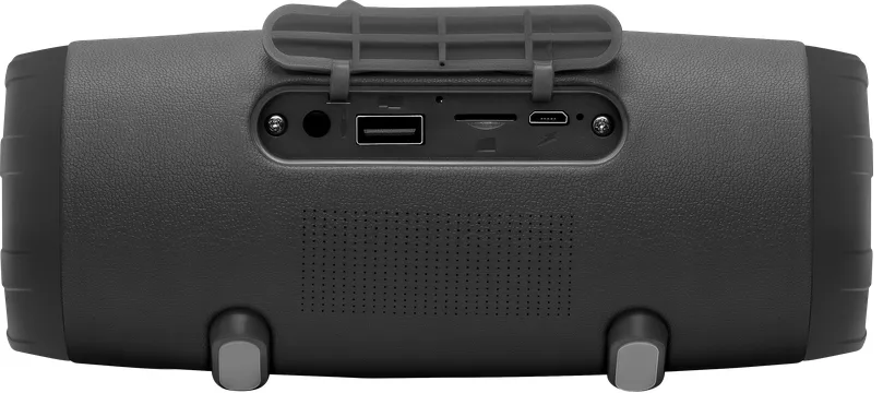 Портативна колонка Defender акумуляторна 10Вт чорна гумова з FM і USB
