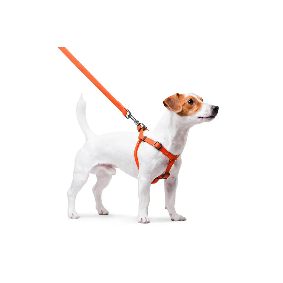 Шлея WAUDOG Waterproof 15 мм металічна пряжка Collartex 40-55 см помаранчева