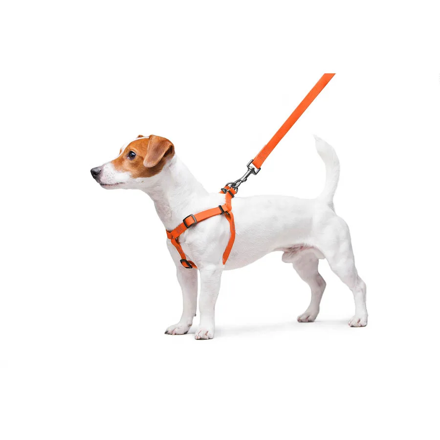 Шлея WAUDOG Waterproof 15 мм металічна пряжка Collartex 40-55 см помаранчева