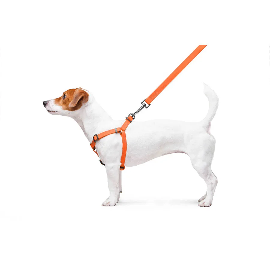 Шлея WAUDOG Waterproof 15 мм металічна пряжка Collartex 40-55 см помаранчева
