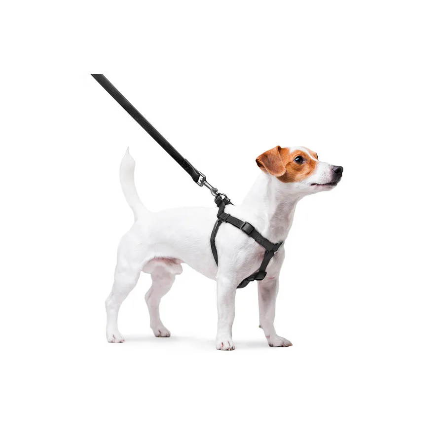Шлея WAUDOG Waterproof S 15 мм водостійка металевий фастекс Collartex 40-55 см чорна