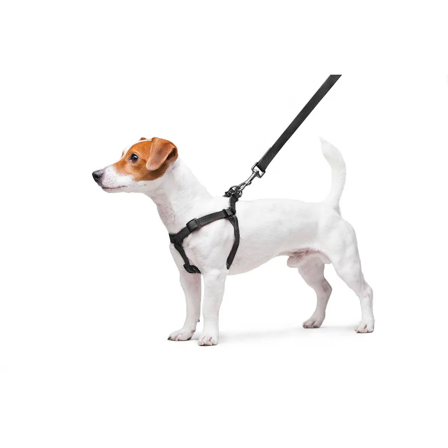 Шлея WAUDOG Waterproof S 15 мм водостійка металевий фастекс Collartex 40-55 см чорна