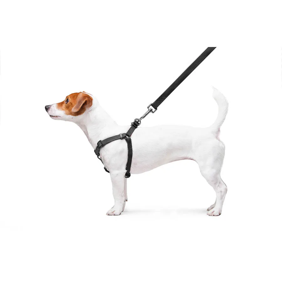Шлея WAUDOG Waterproof S 15 мм водостійка металевий фастекс Collartex 40-55 см чорна