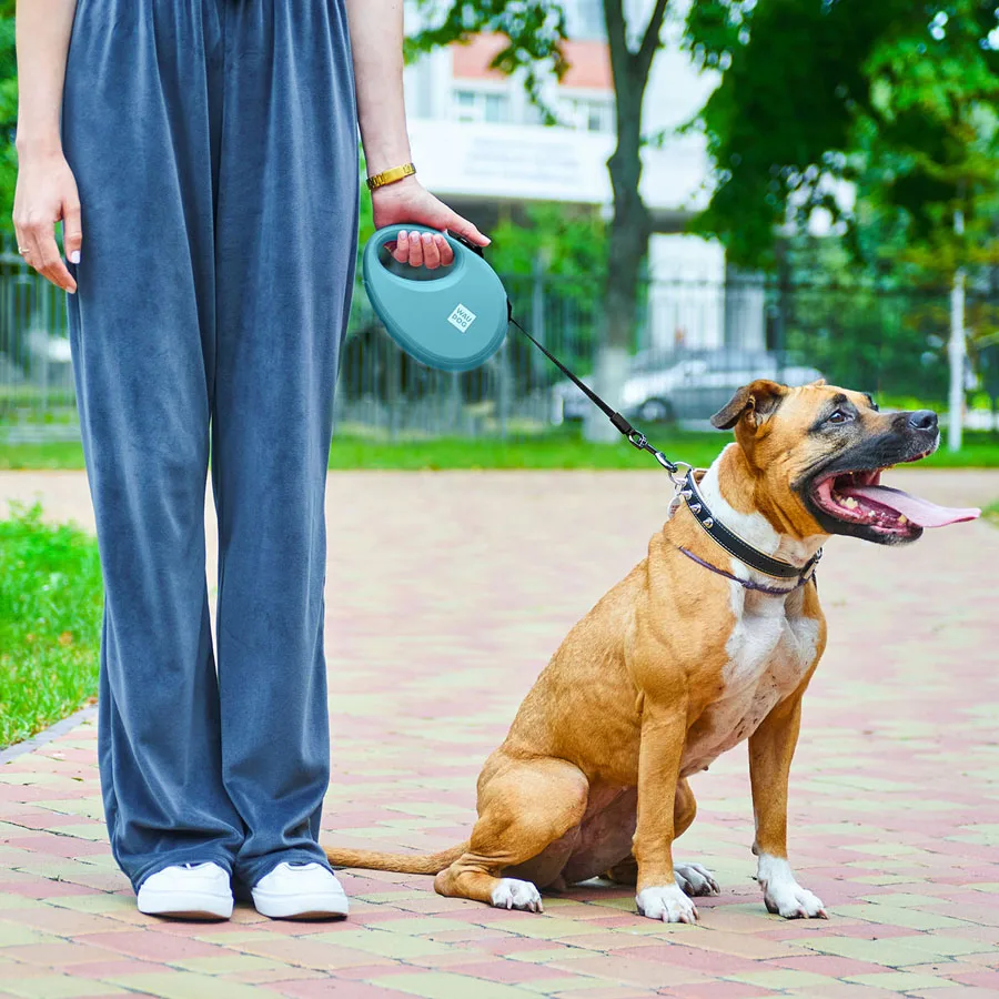 Повідець-рулетка WAUDOG R-leash L 500 см пластиковий блакитний з контейнером для пакетів