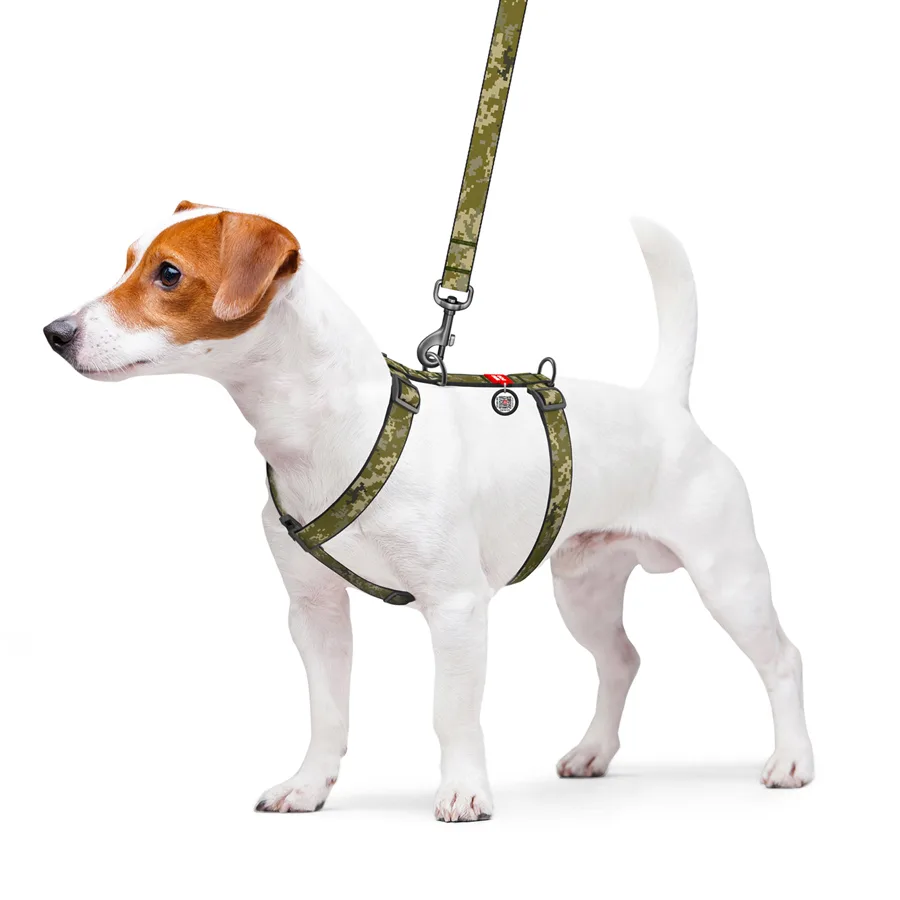 Шлея анатомічна WAUDOG Nylon H-подібна 15 мм S 30-40 см Мілітарі