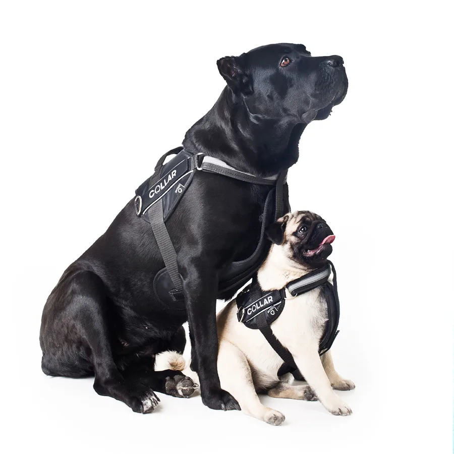 Шлея Dog Extreme Police №2 40-60 см нейлон чорна