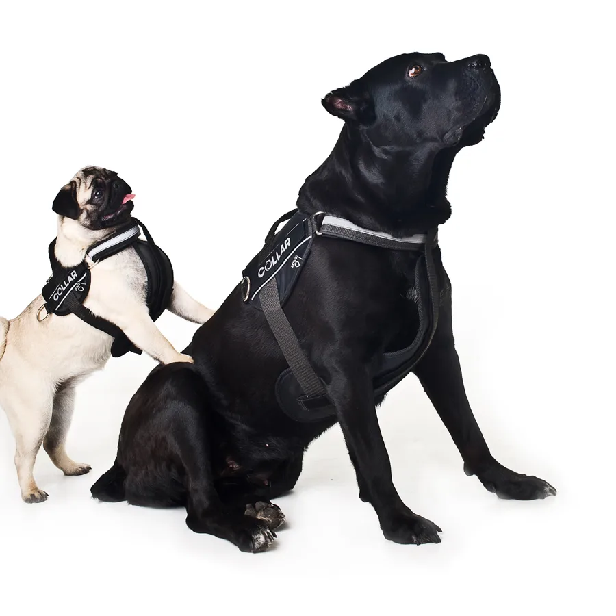 Шлея Dog Extreme Police №2 40-60 см нейлон чорна