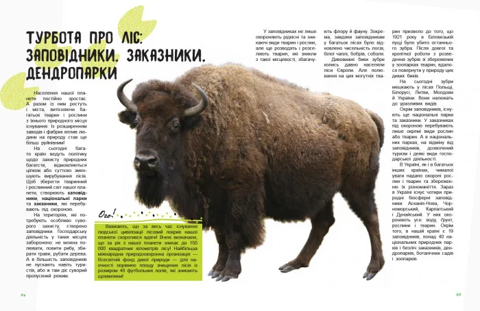 Дитяча книга Ranok Creative твердий переплет 64 сторінки Ліс Україна
