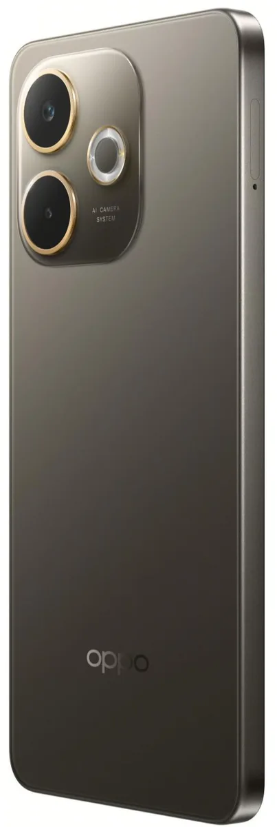 Смартфон OPPO 6.67" IPS 8ГБ 256ГБ 4G Коричневый