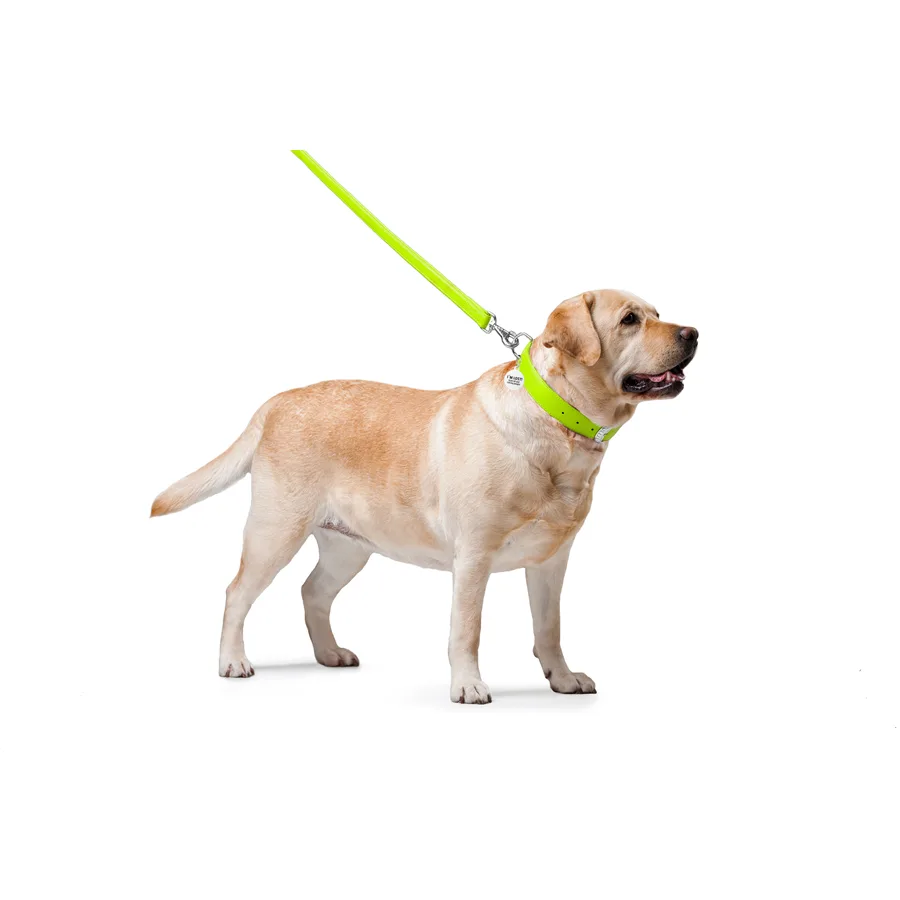 Поводок WAUDOG Glamour кожаный 25х122 см салатовый