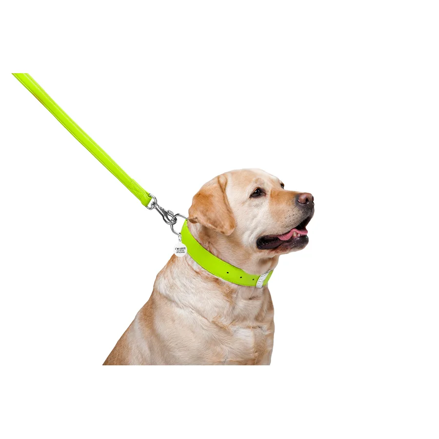 Поводок WAUDOG Glamour кожаный 25х122 см салатовый