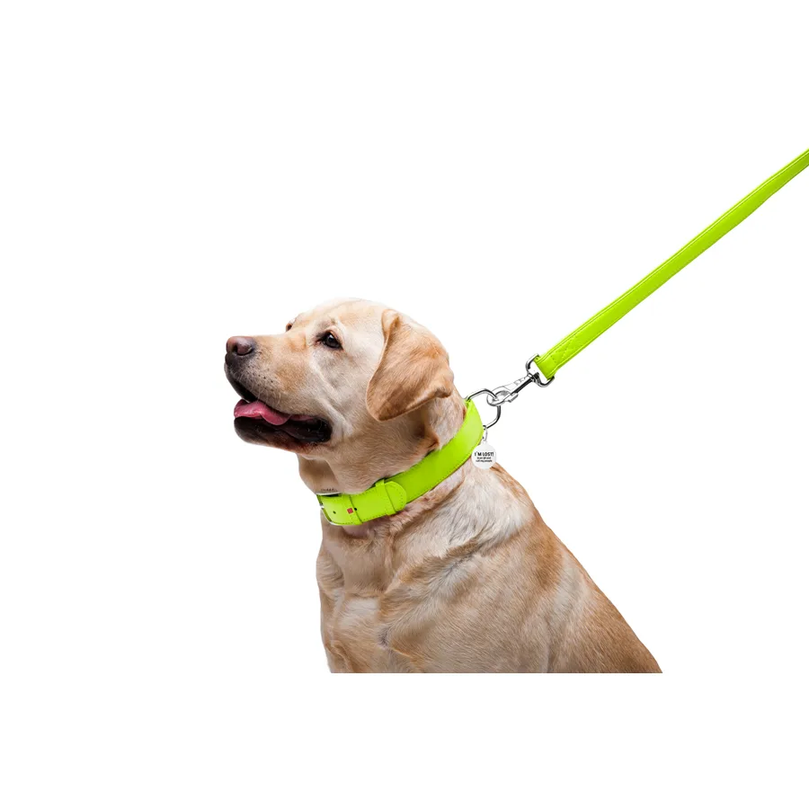 Поводок WAUDOG Glamour кожаный 25х122 см салатовый