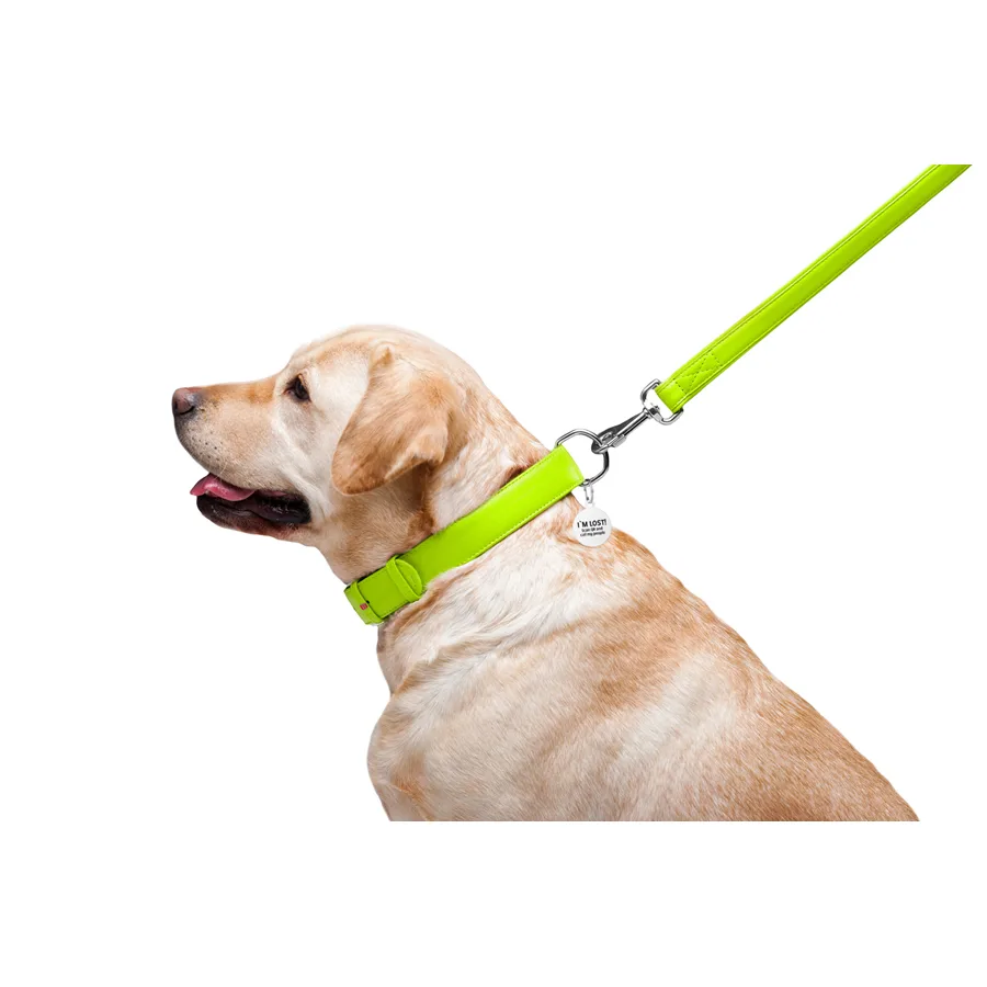 Поводок WAUDOG Glamour кожаный 25х122 см салатовый