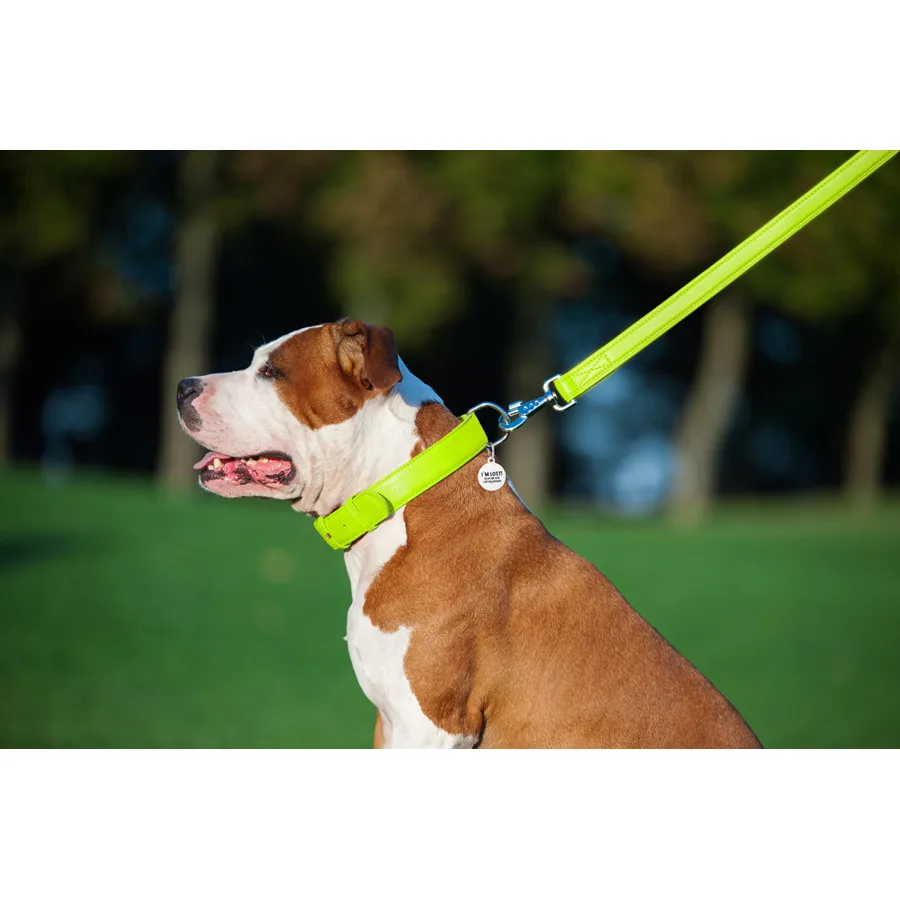 Поводок WAUDOG Glamour кожаный 25х122 см салатовый
