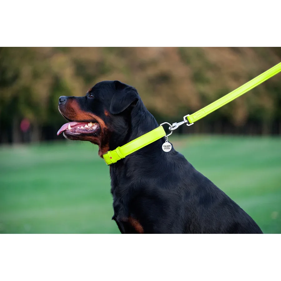 Поводок WAUDOG Glamour кожаный 25х122 см салатовый