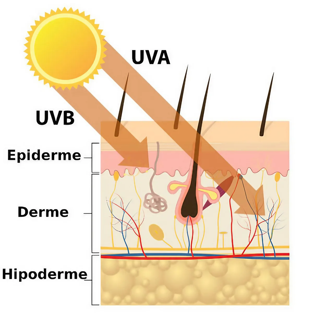 Сонцезахисний крем для обличчя SPF 50+ Hillary VitaSun Daily Defense Cream, 40 мл