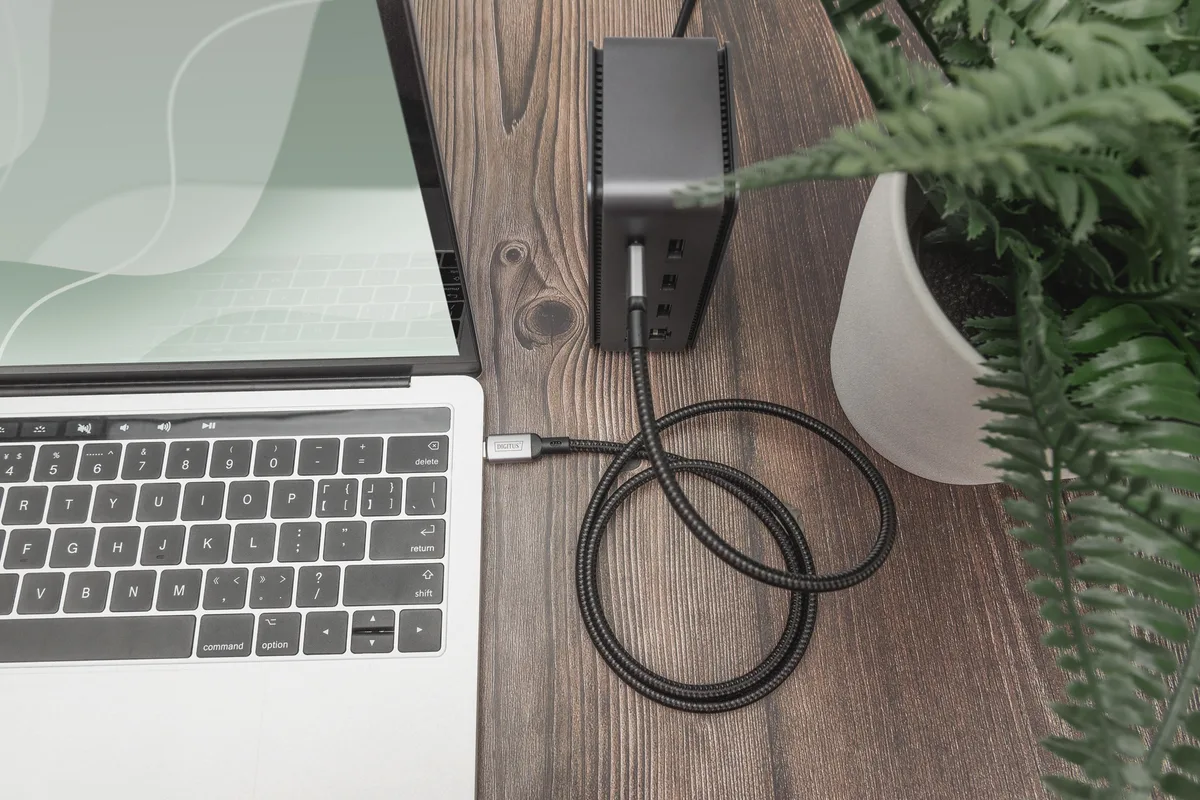 Кабель DIGITUS USB 4.0 (Type-C/Type-C) 1м, чорний