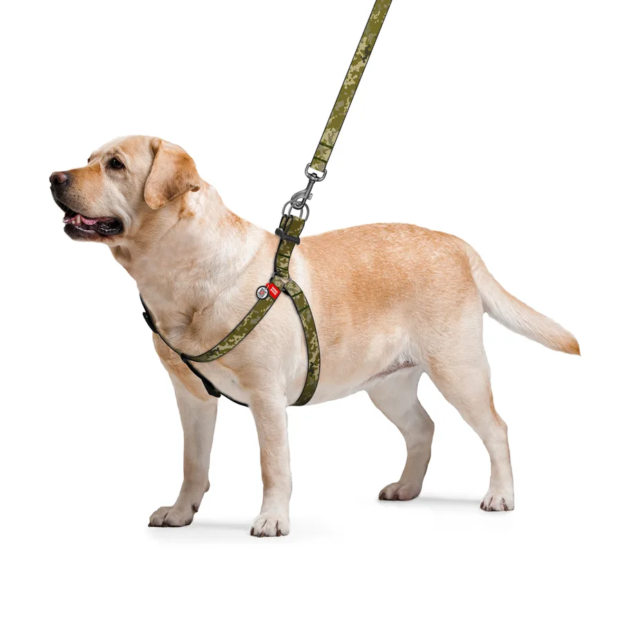 Шлейка WAUDOG Nylon Милитари 15 мм Нейлон S 40-55 см