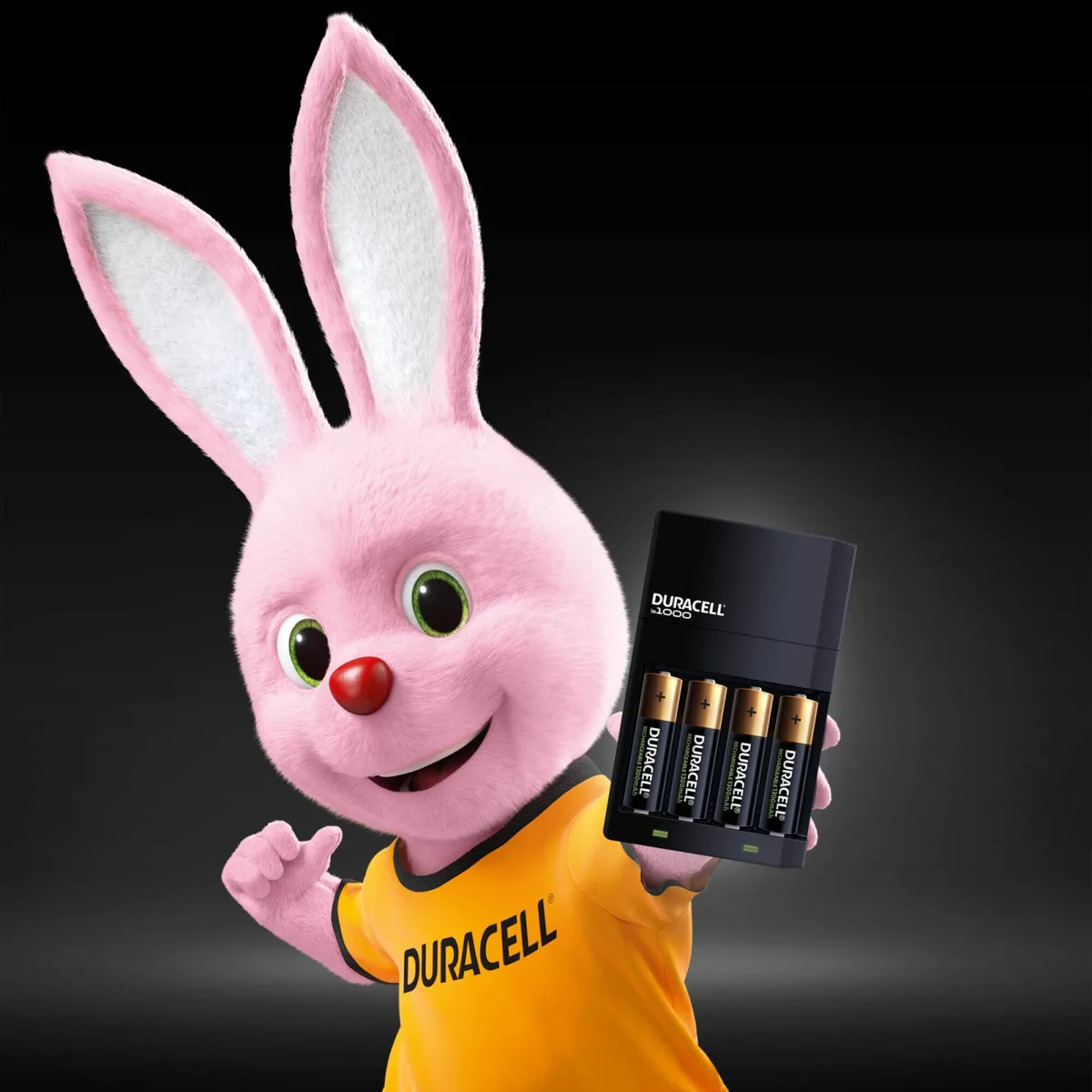 Зарядний пристрій Duracell NiMH AA AAA 4 шт