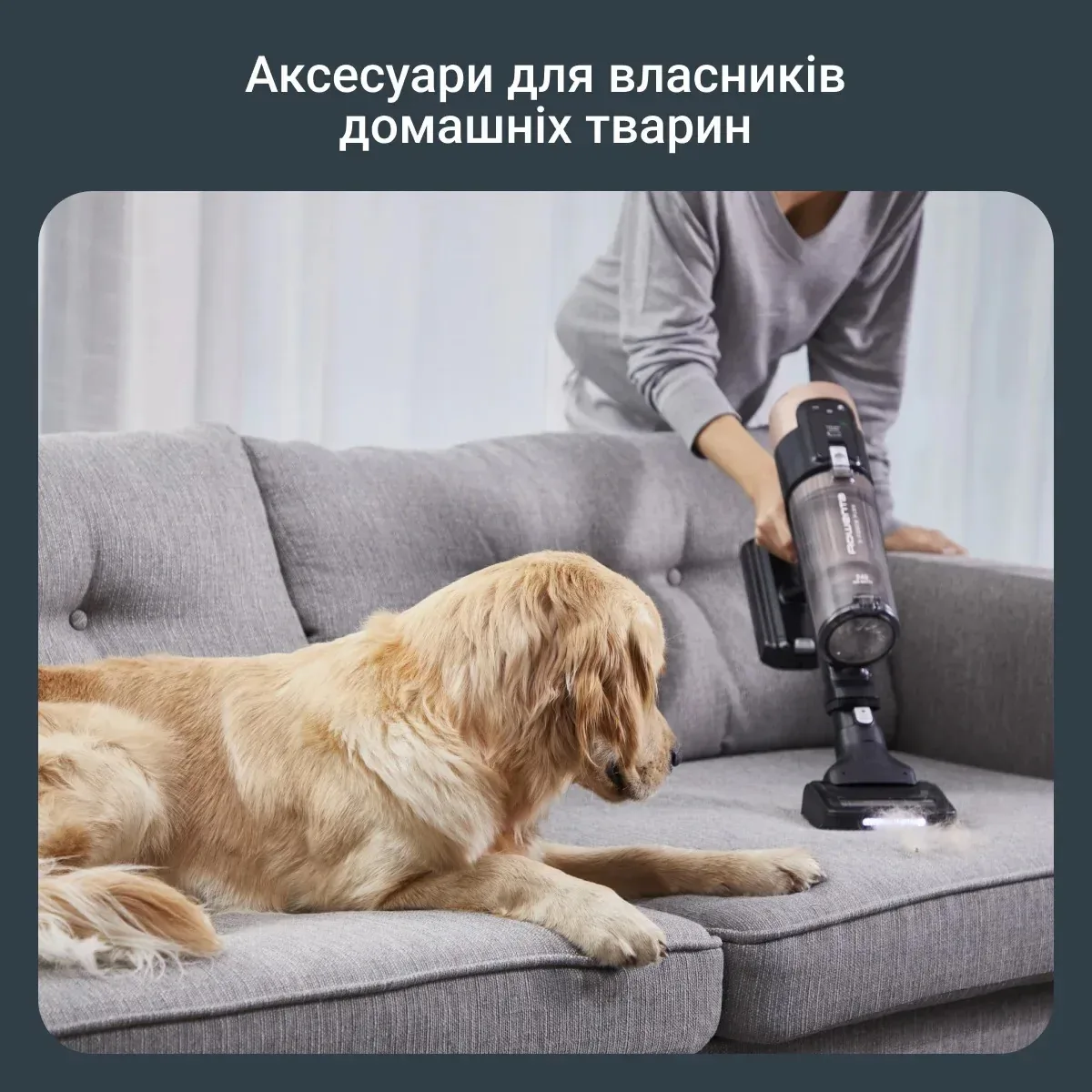 Безпровідний пилосос Rowenta X-Force Flex 14.80 Auto Animal, 240 Вт, контейнер 0.65 л, автономна робота до 90 хв, HE.