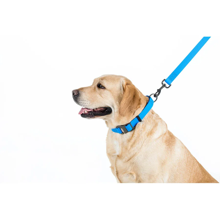 Повідець WAUDOG Waterproof 25 мм x 183 см Collartex блакитний L-XXL
