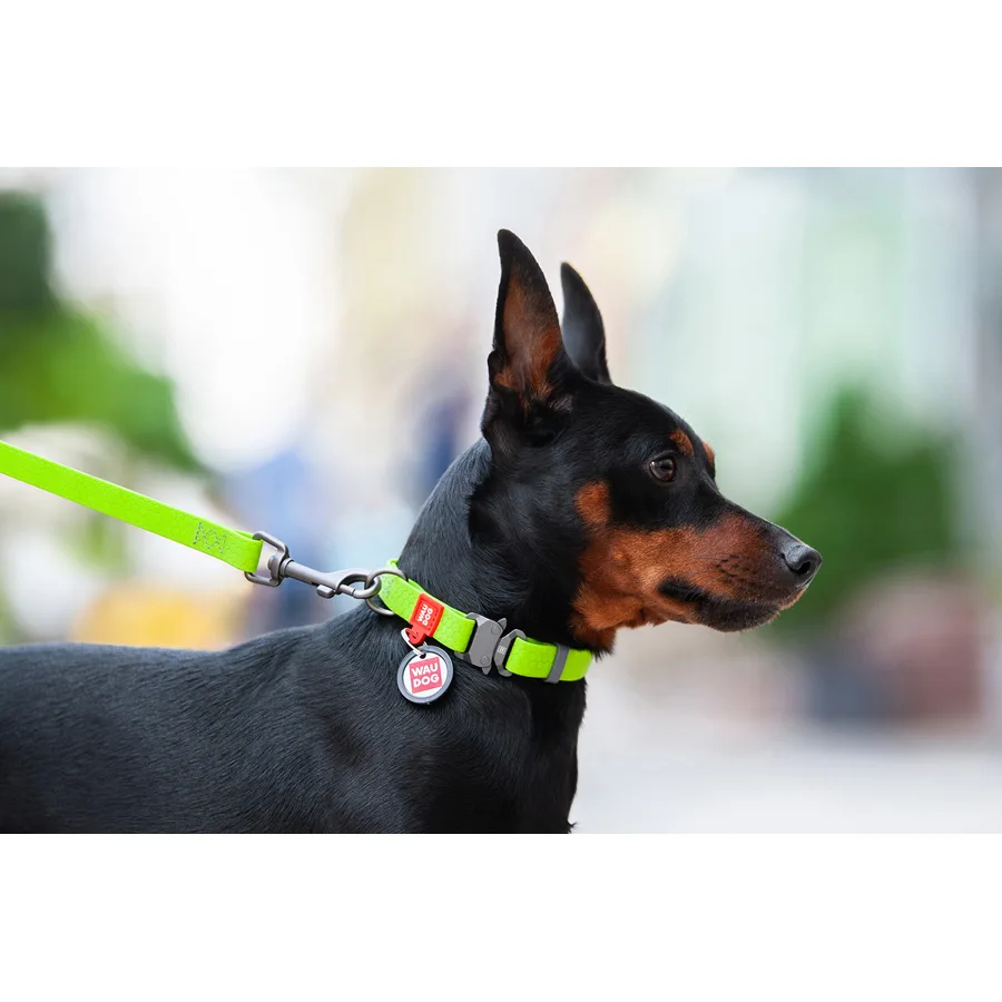Нашийник WAUDOG Waterproof 25 мм x 38-58 см Collartex салатовий